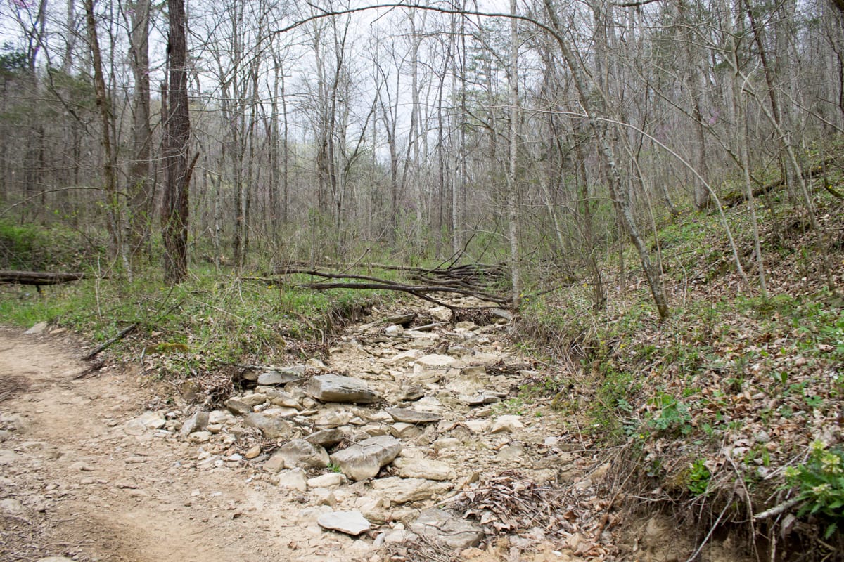 Chestnut Oak Ridge Tract 5 photo 3
