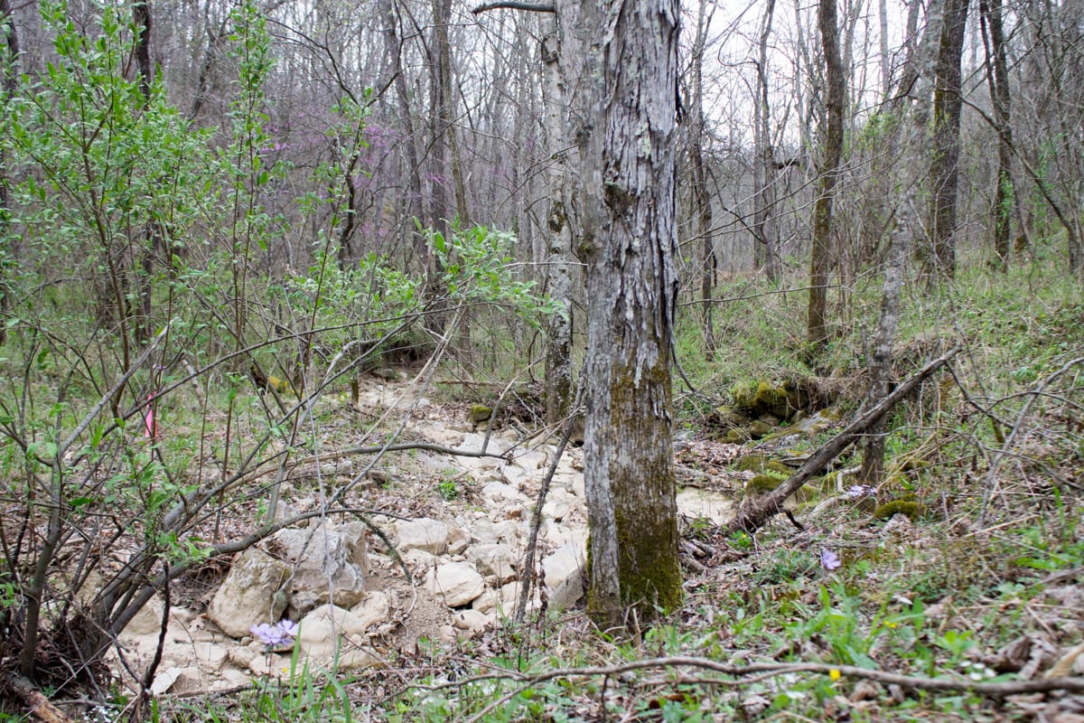 Chestnut Oak Ridge Tract 5 photo 4