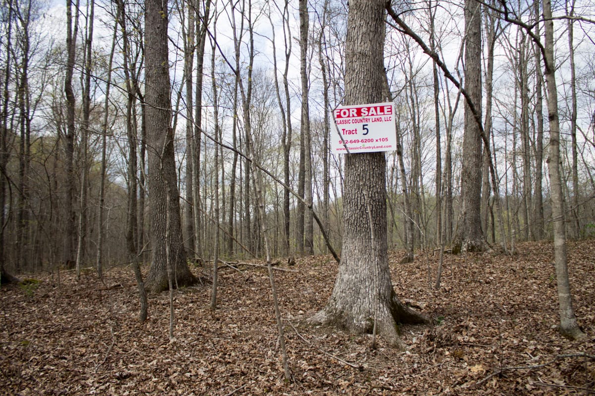 Chestnut Oak Ridge Tract 5 photo 1