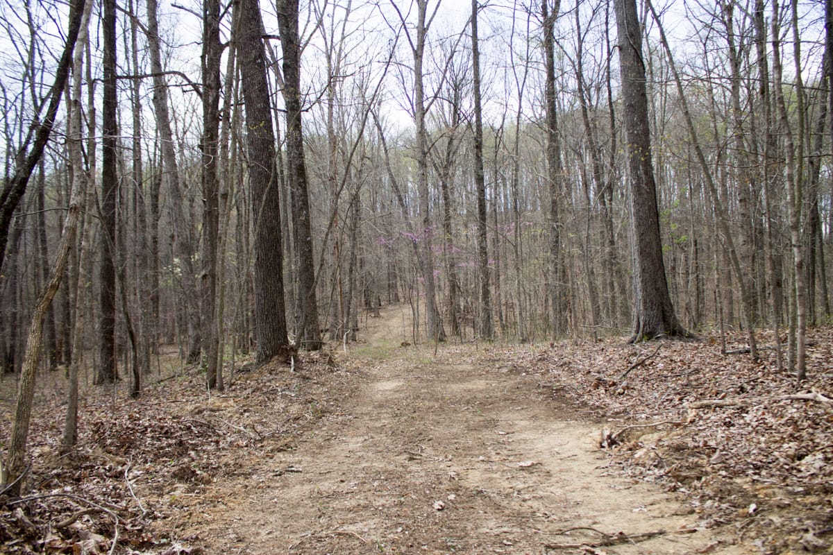 Chestnut Oak Ridge Tract 5 photo 12