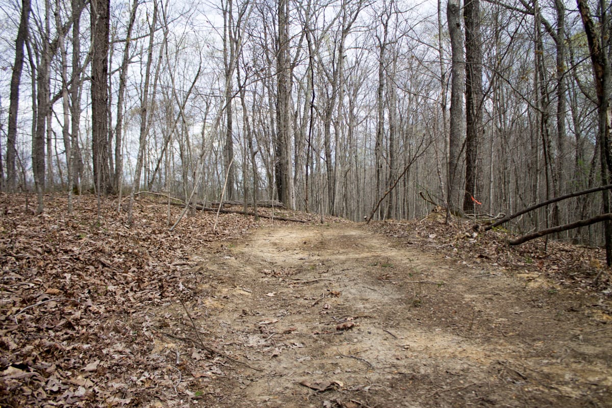 Chestnut Oak Ridge Tract 5 photo 8