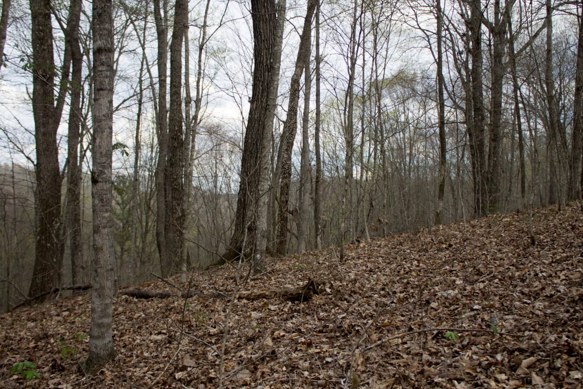 Chestnut Oak Ridge Tract 5 photo 10