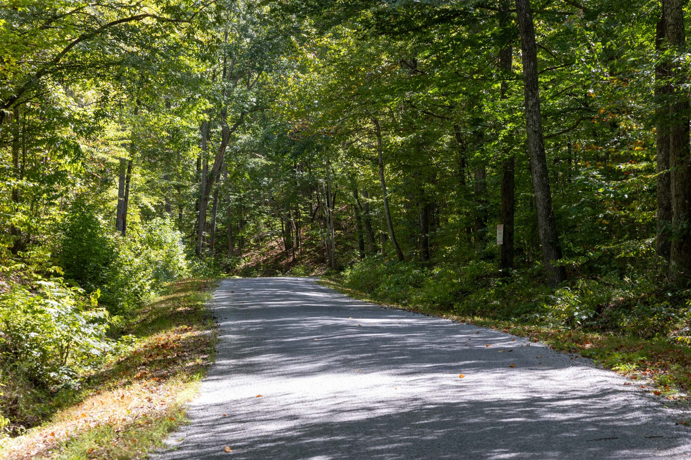 Big White Oak Tract 27 photo 3