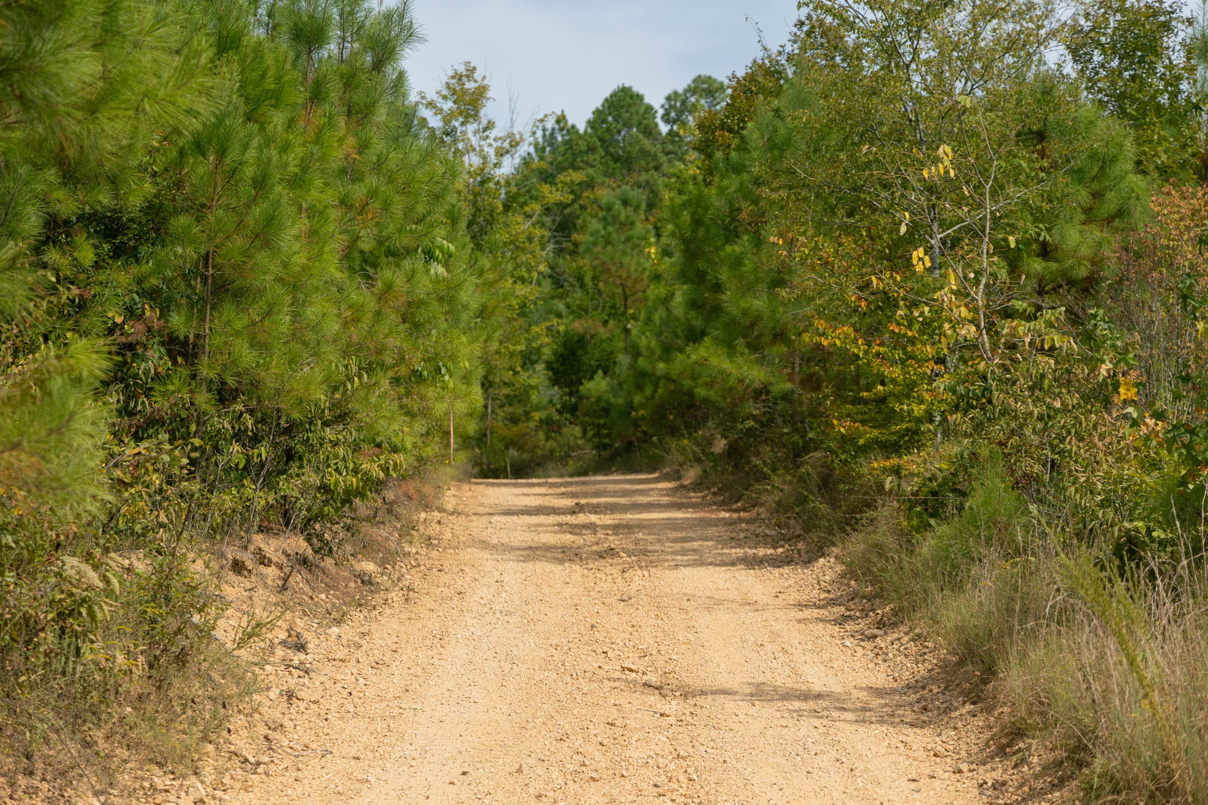 Big White Oak Tract 27 photo 9
