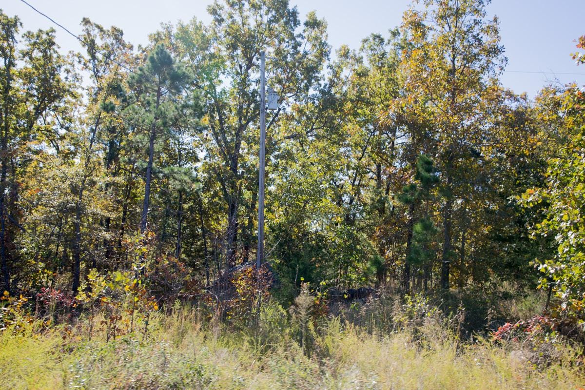 Stone Creek Phase I Tract 162 photo 5