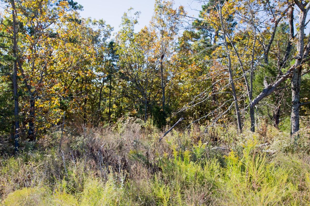 Stone Creek Phase I Tract 162 photo 6