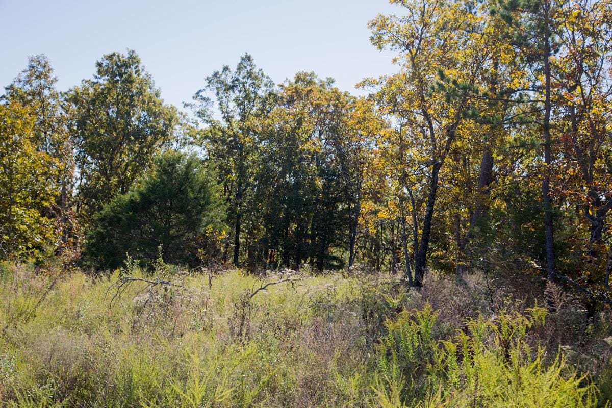 Stone Creek Phase I Tract 162 photo 7