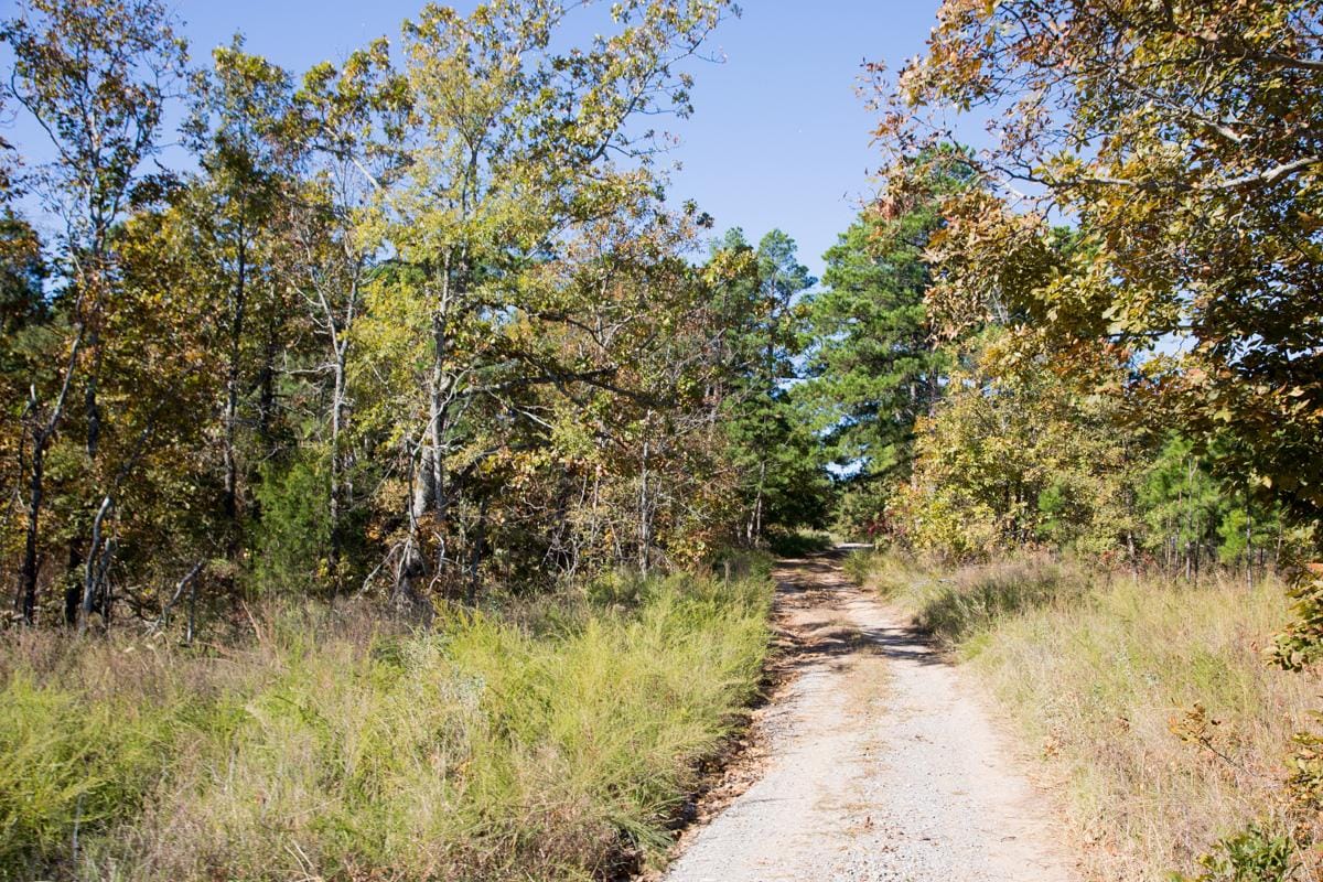 Stone Creek Phase I Tract 162 photo 2