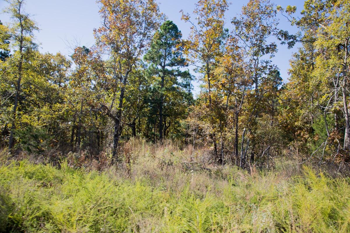 Stone Creek Phase I Tract 162 photo 8