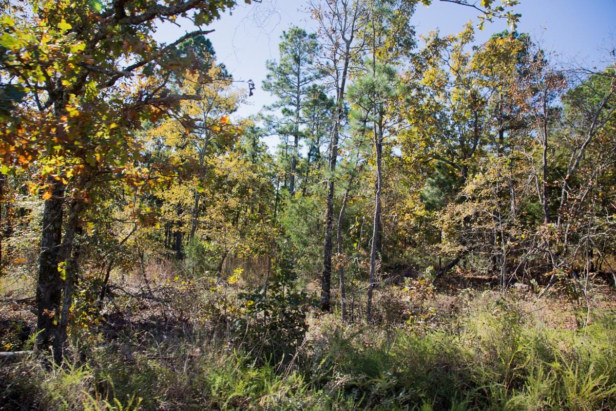 Stone Creek Phase I Tract 162 photo 9