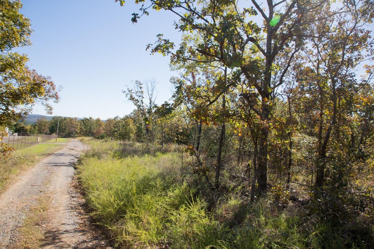 Stone Creek Phase I Tract 162 photo 10
