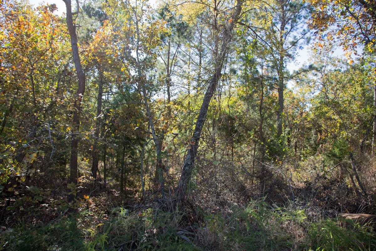 Stone Creek Phase I Tract 162 photo 11