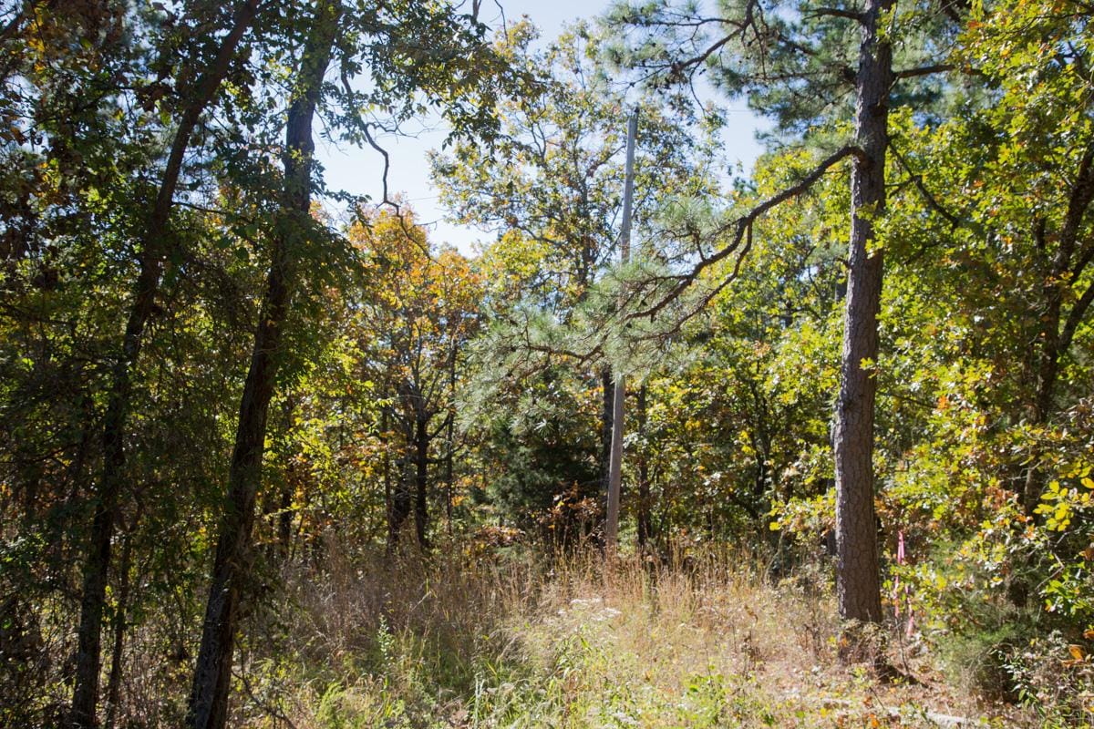 Stone Creek Phase I Tract 162 photo 13