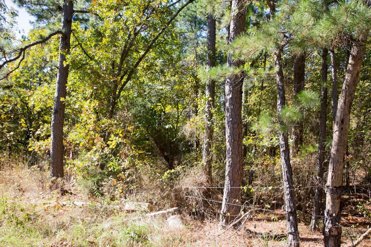 Stone Creek Phase I Tract 162 photo 14