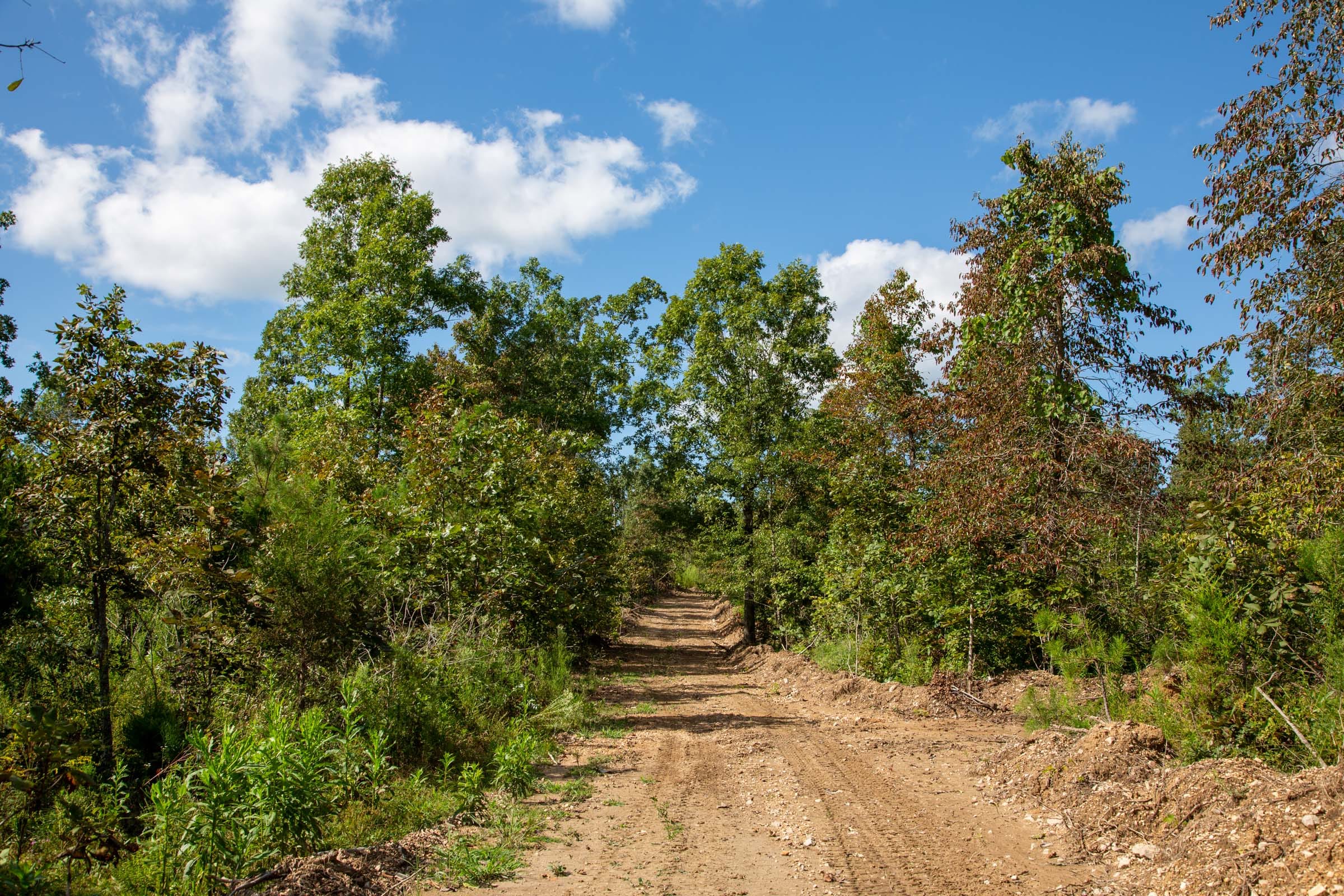 Borgmann’s Hollow Phase II Tract 61 photo 1