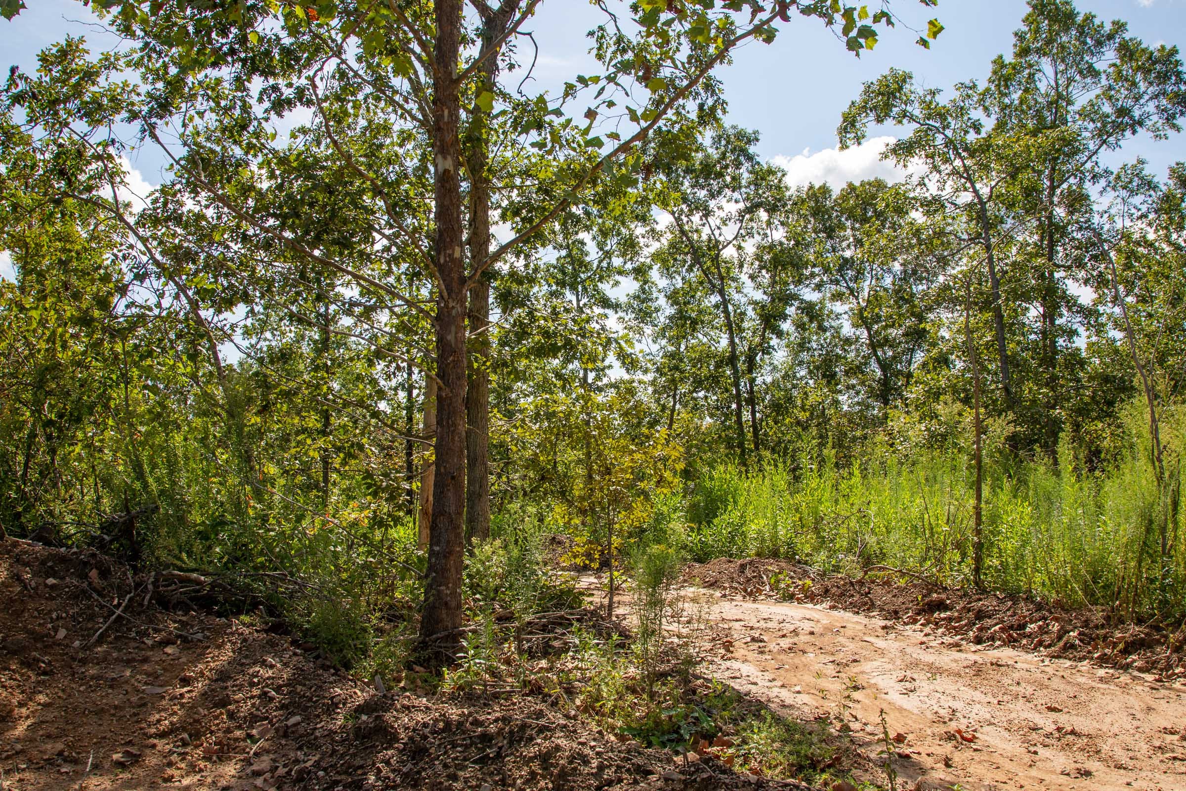 Borgmann’s Hollow Phase II Tract 61 photo 8