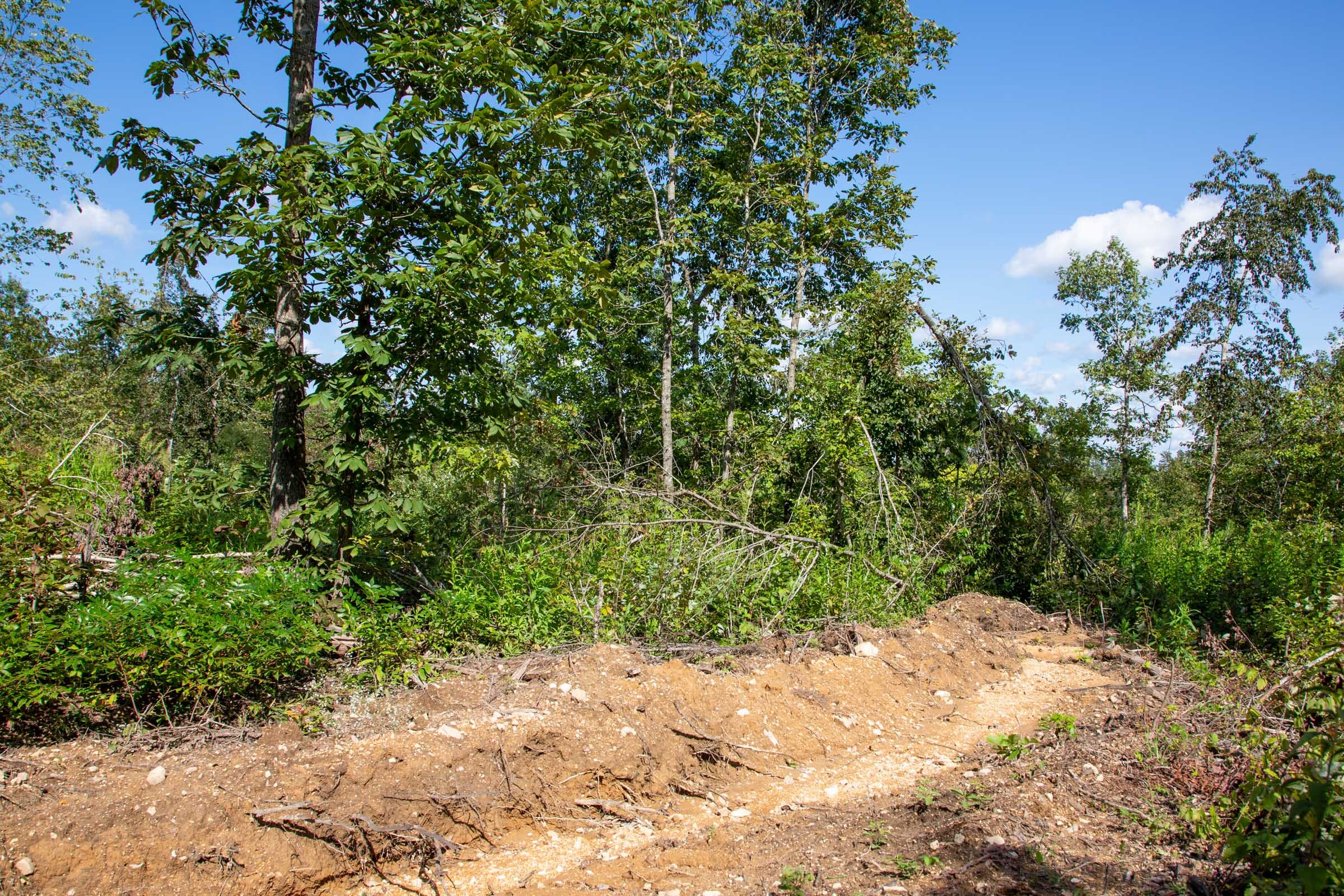 Borgmann’s Hollow Phase II Tract 61 photo 10