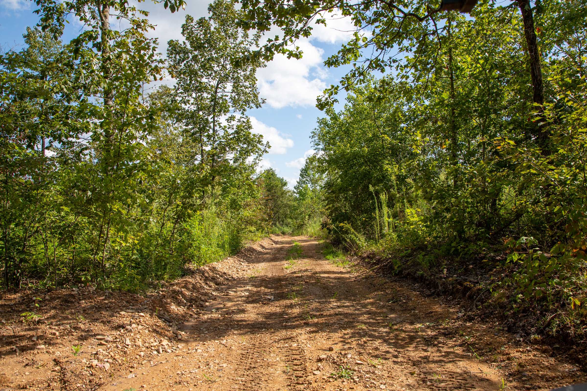 Borgmann’s Hollow Phase II Tract 61 photo 11