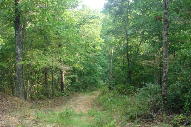 Sugartree Falls Tract 17 photo 1