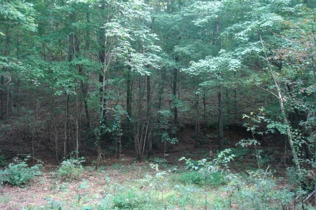 Sugartree Falls Tract 17 photo 2