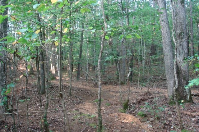Sugartree Falls Tract 17 photo 5