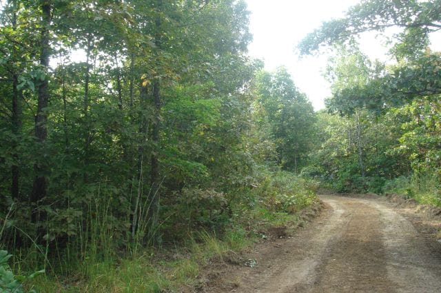 Sugartree Falls Tract 17 photo 6