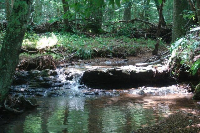 Sugartree Falls Tract 17 photo 8