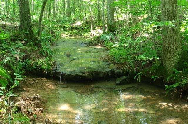 Sugartree Falls Tract 17 photo 10