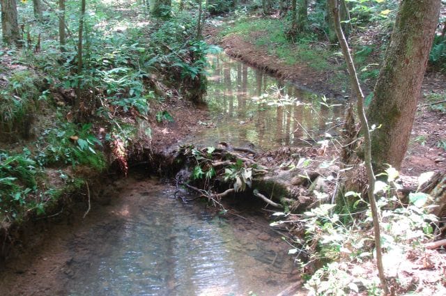 Sugartree Falls Tract 17 photo 11