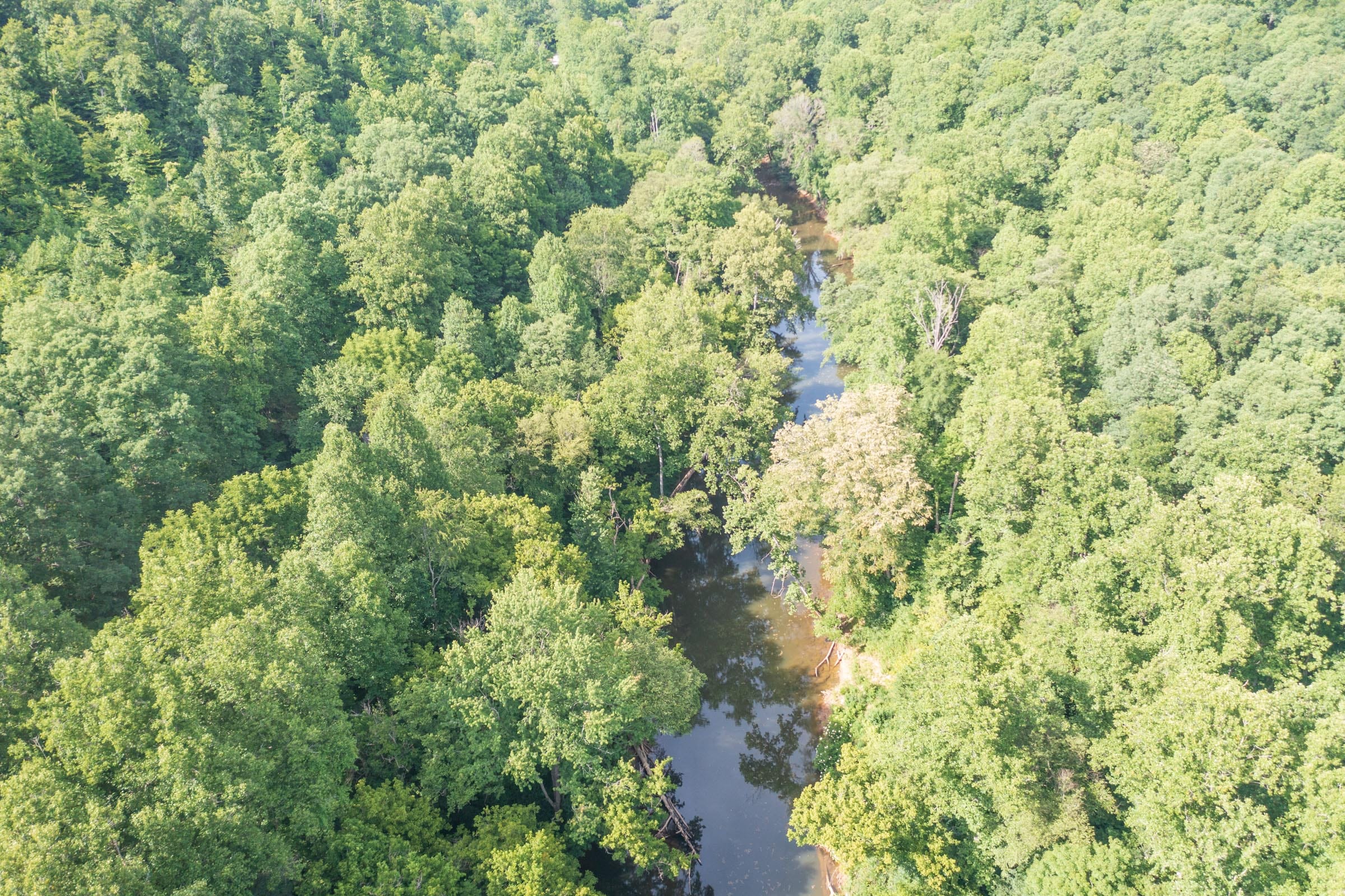 River’s Edge Tract 4 photo 2