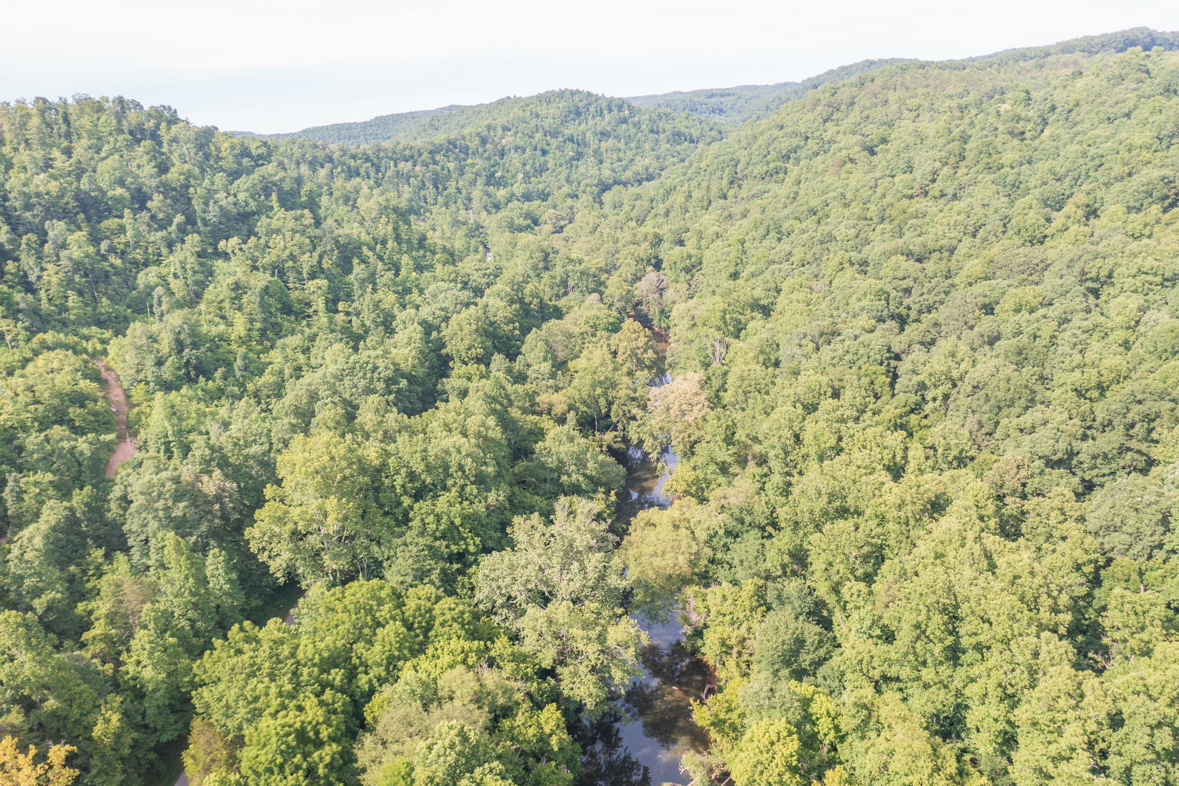 River’s Edge Tract 4 photo 4