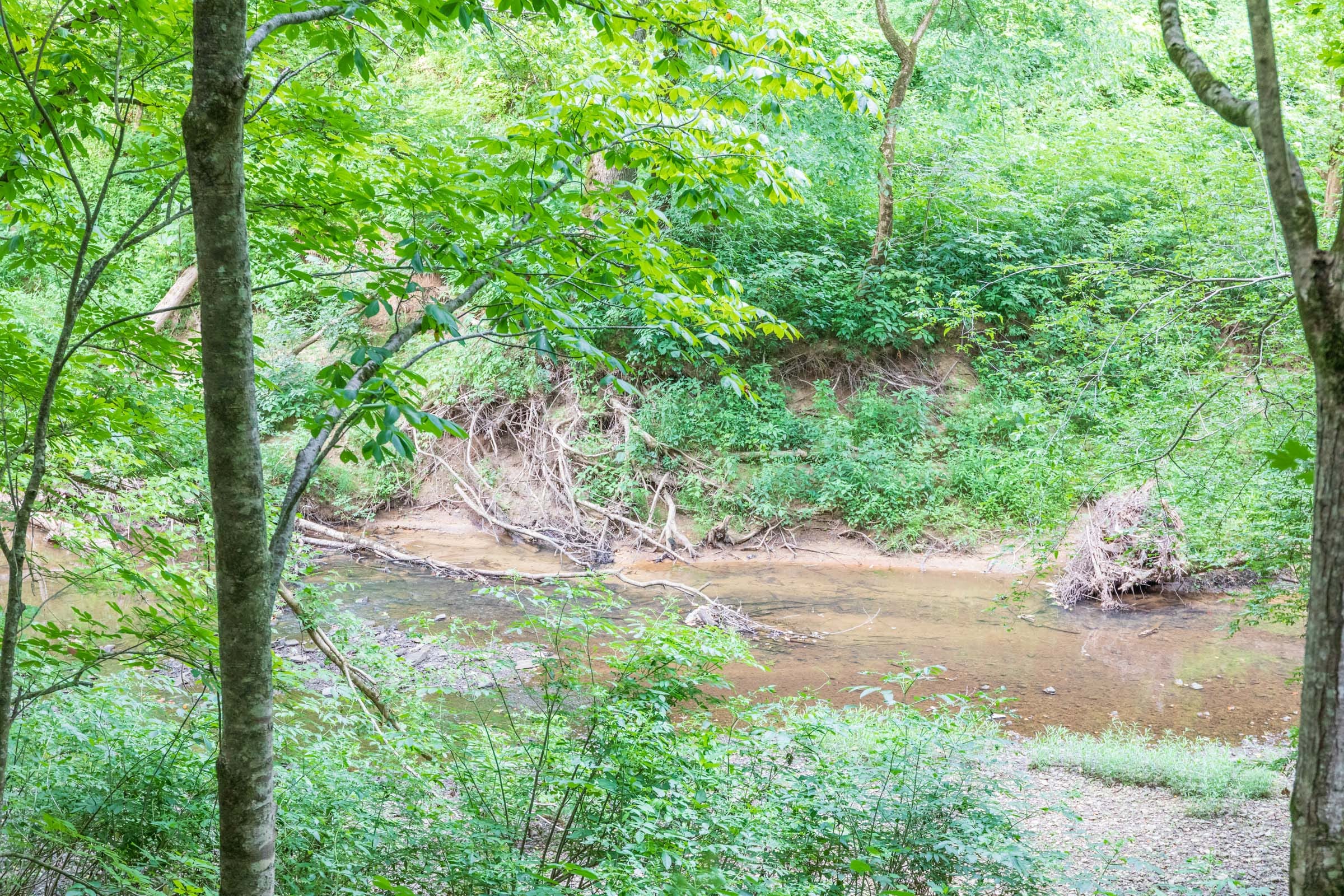River’s Edge Tract 4 photo 3