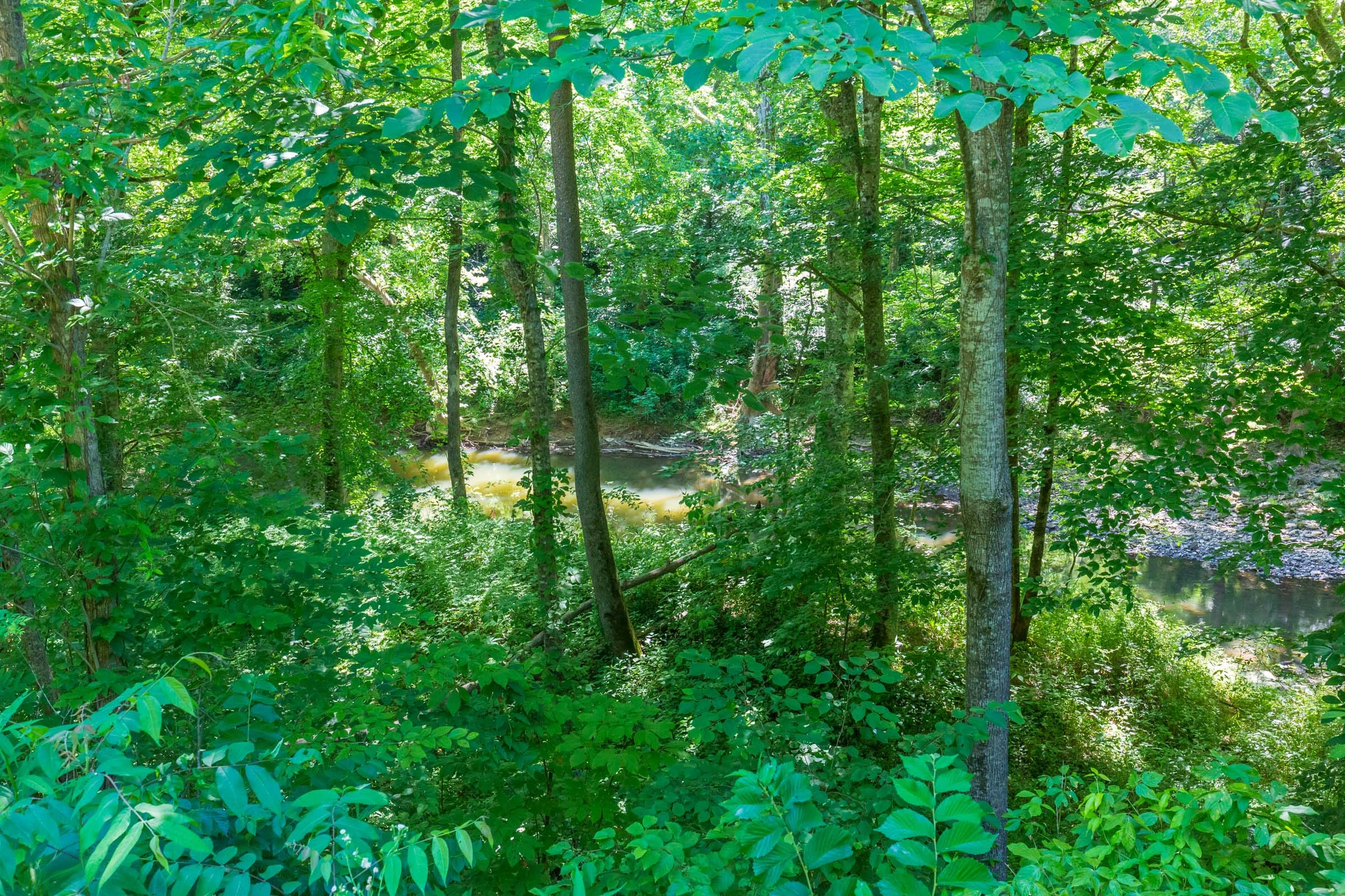 River’s Edge Tract 4 photo 9