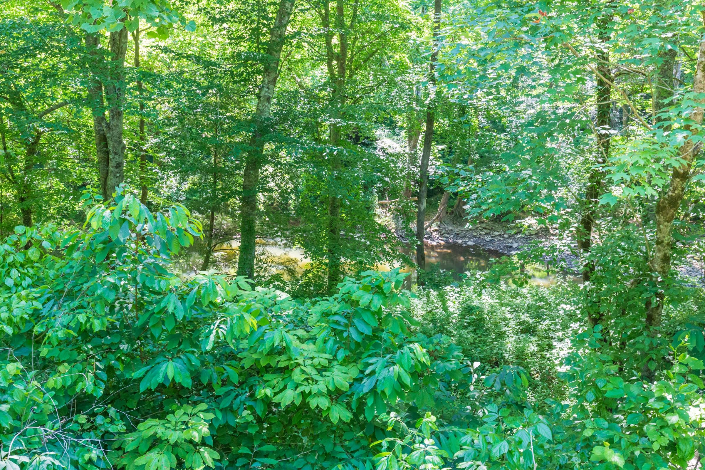 River’s Edge Tract 4 photo 11