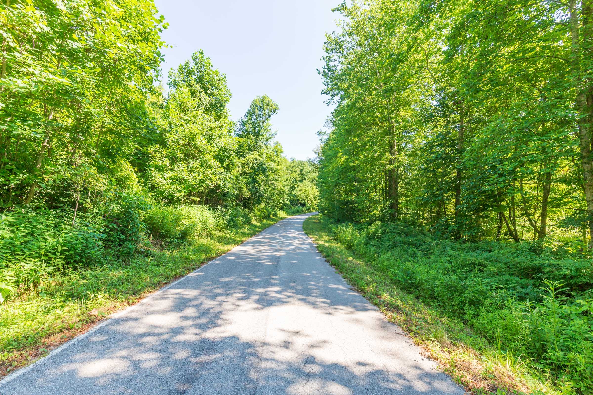 River’s Edge Tract 4 photo 1