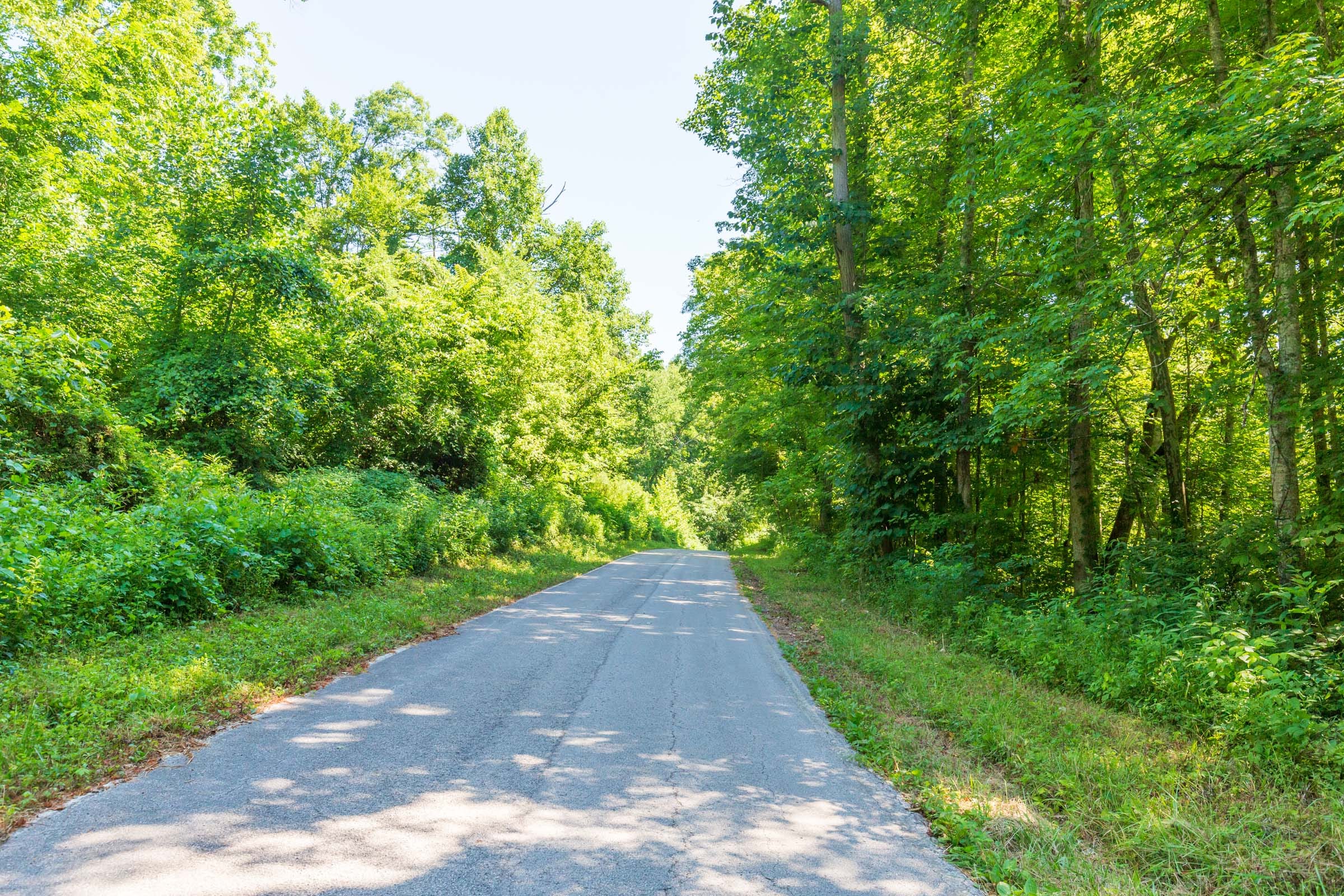 River’s Edge Tract 4 photo 5