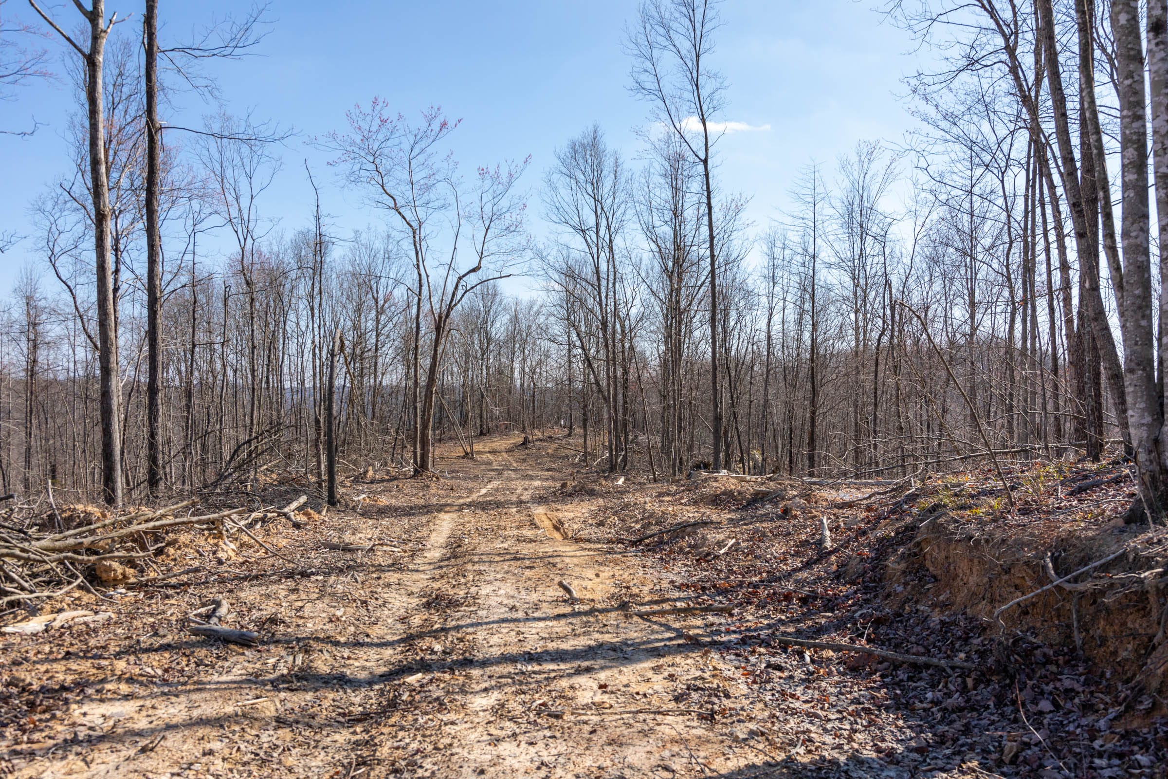 Creek Hollow Phase I Tract 10 photo 5