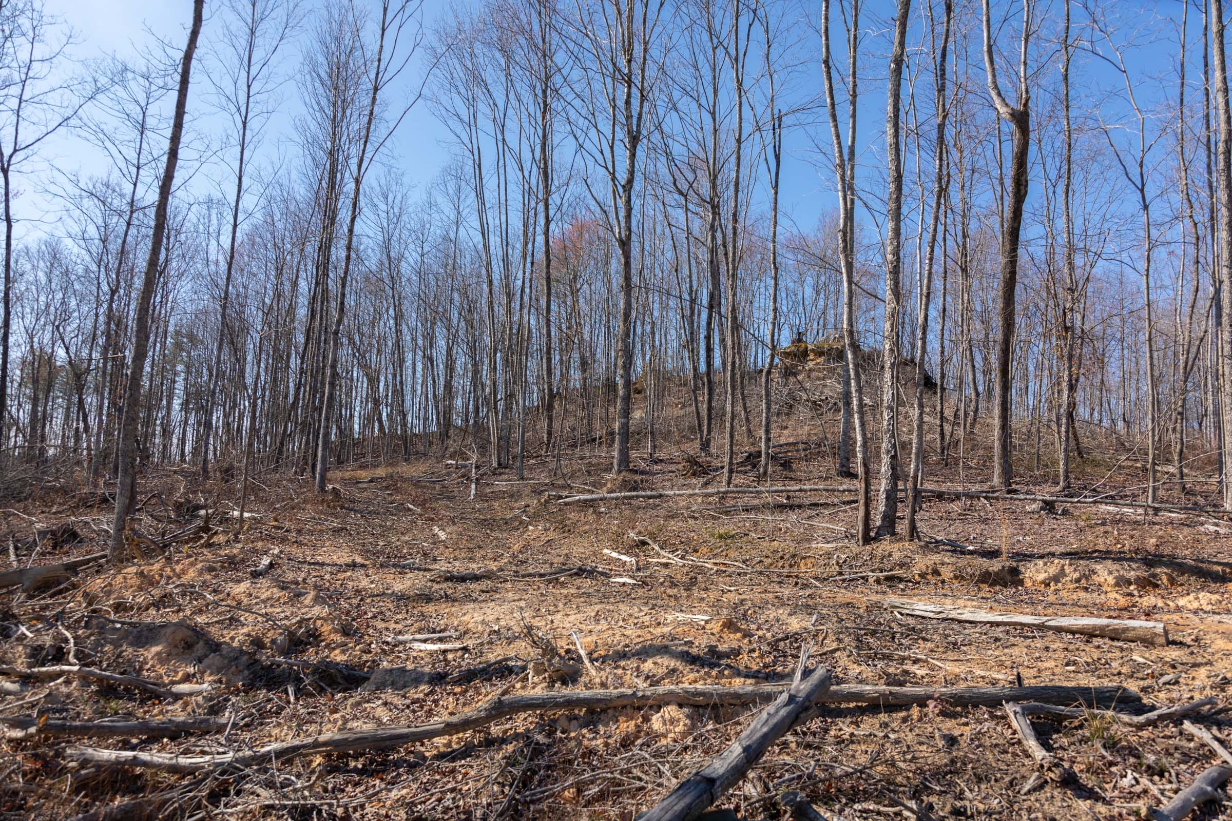 Creek Hollow Phase I Tract 10 photo 2
