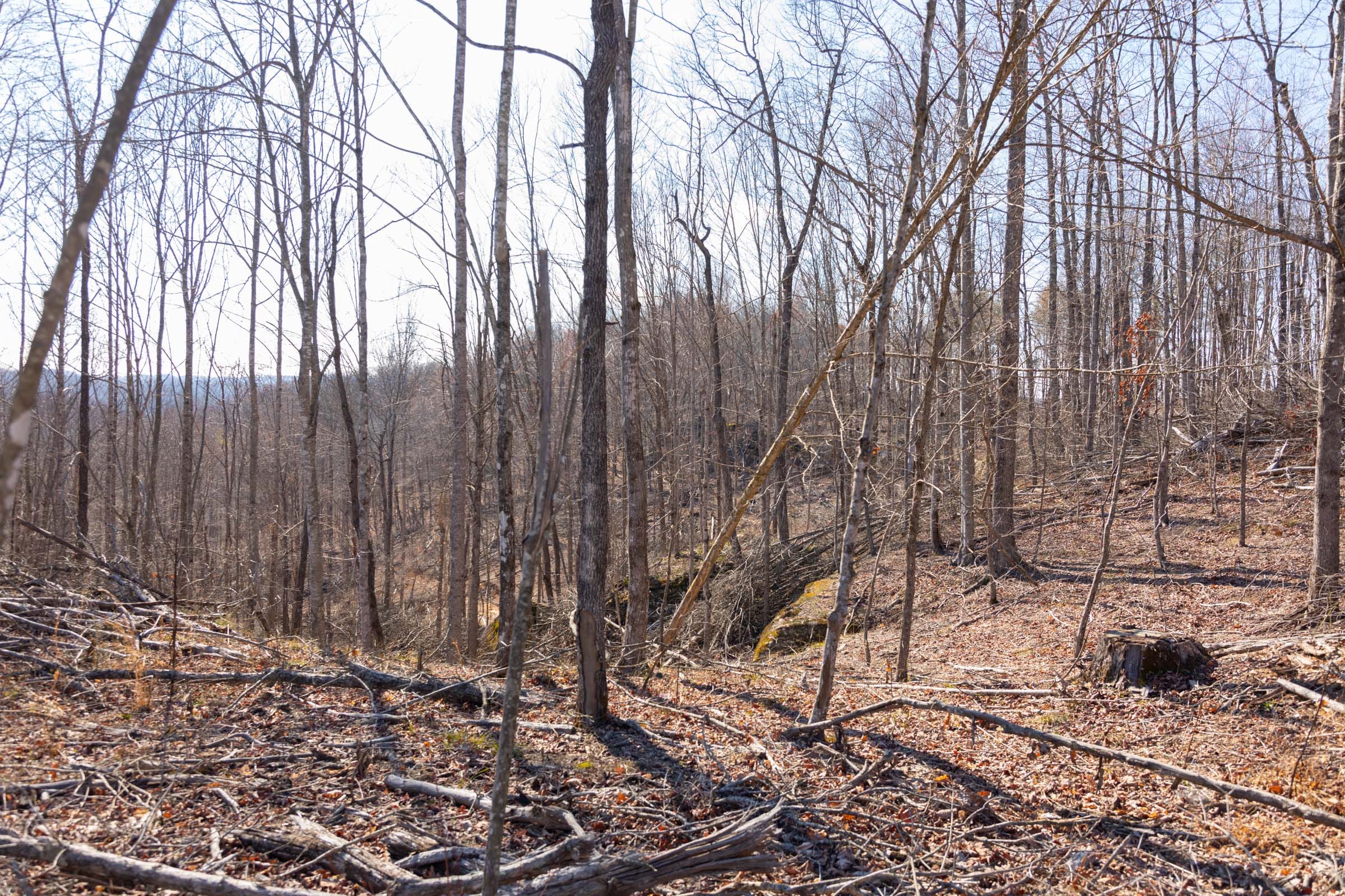 Creek Hollow Phase I Tract 10 photo 4
