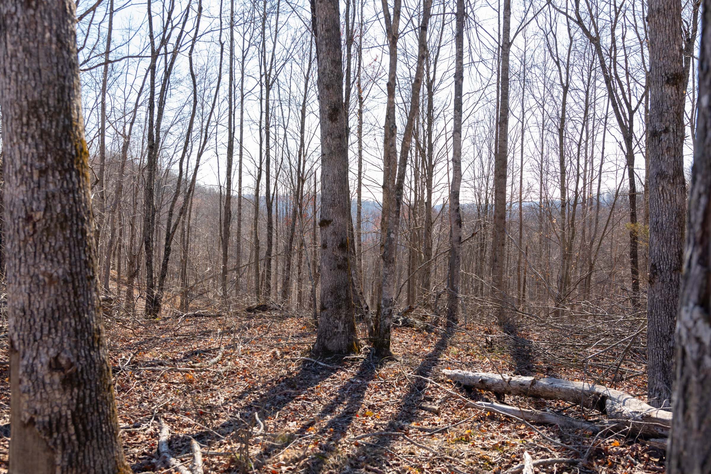 Creek Hollow Phase I Tract 10 photo 3