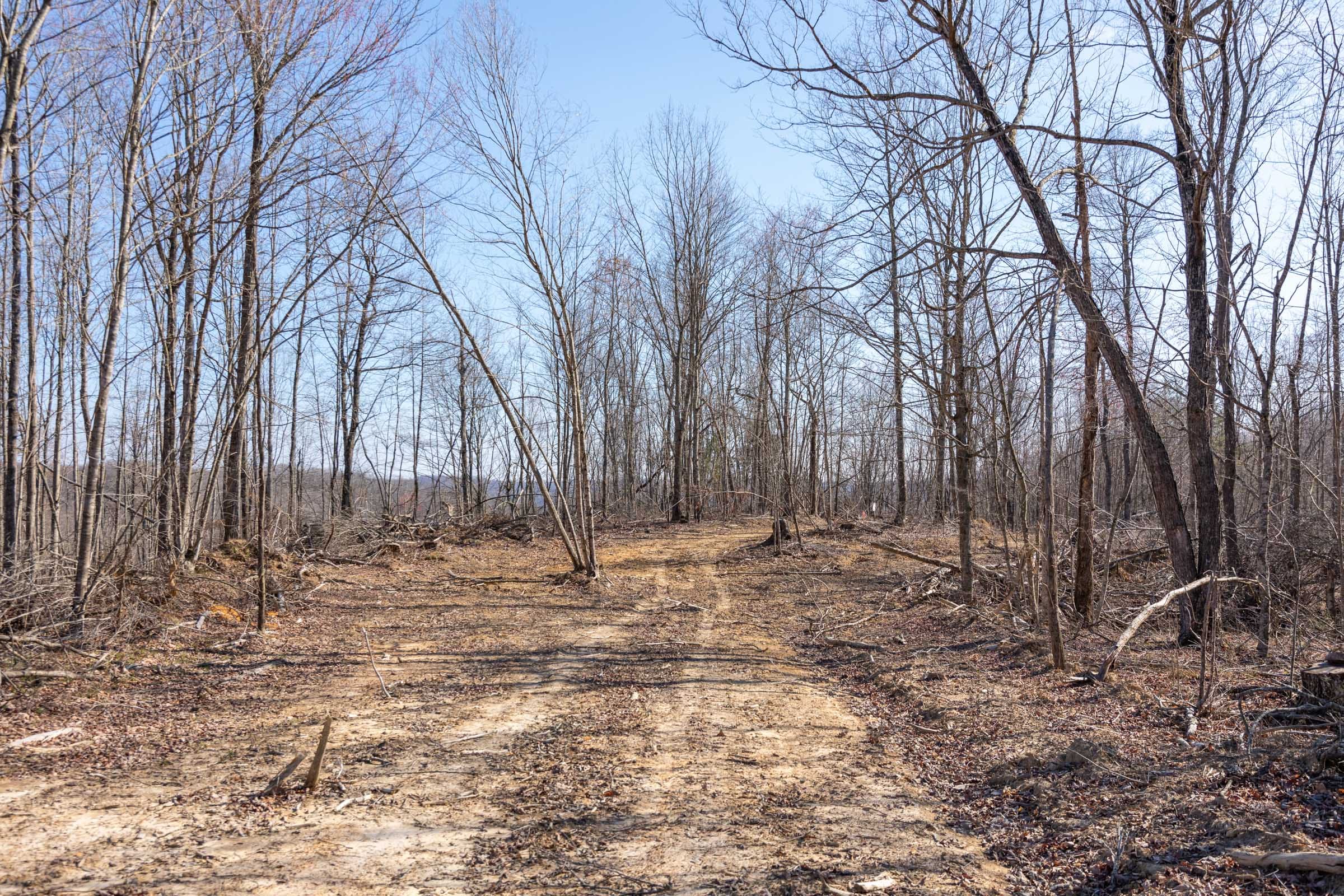 Creek Hollow Phase I Tract 10 photo 1