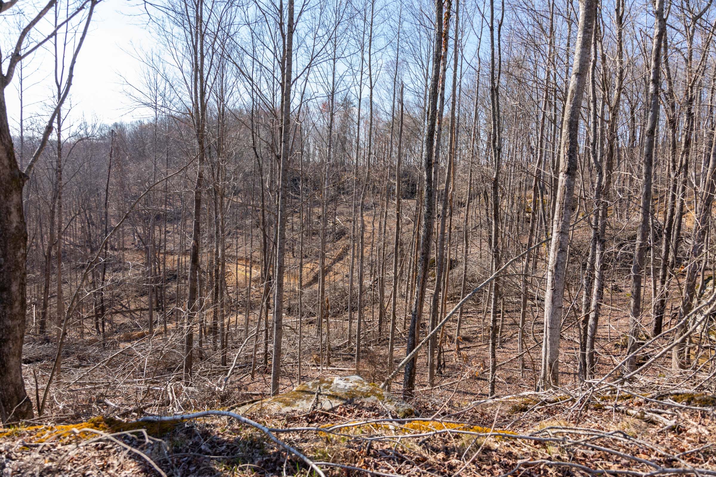 Creek Hollow Phase I Tract 10 photo 6
