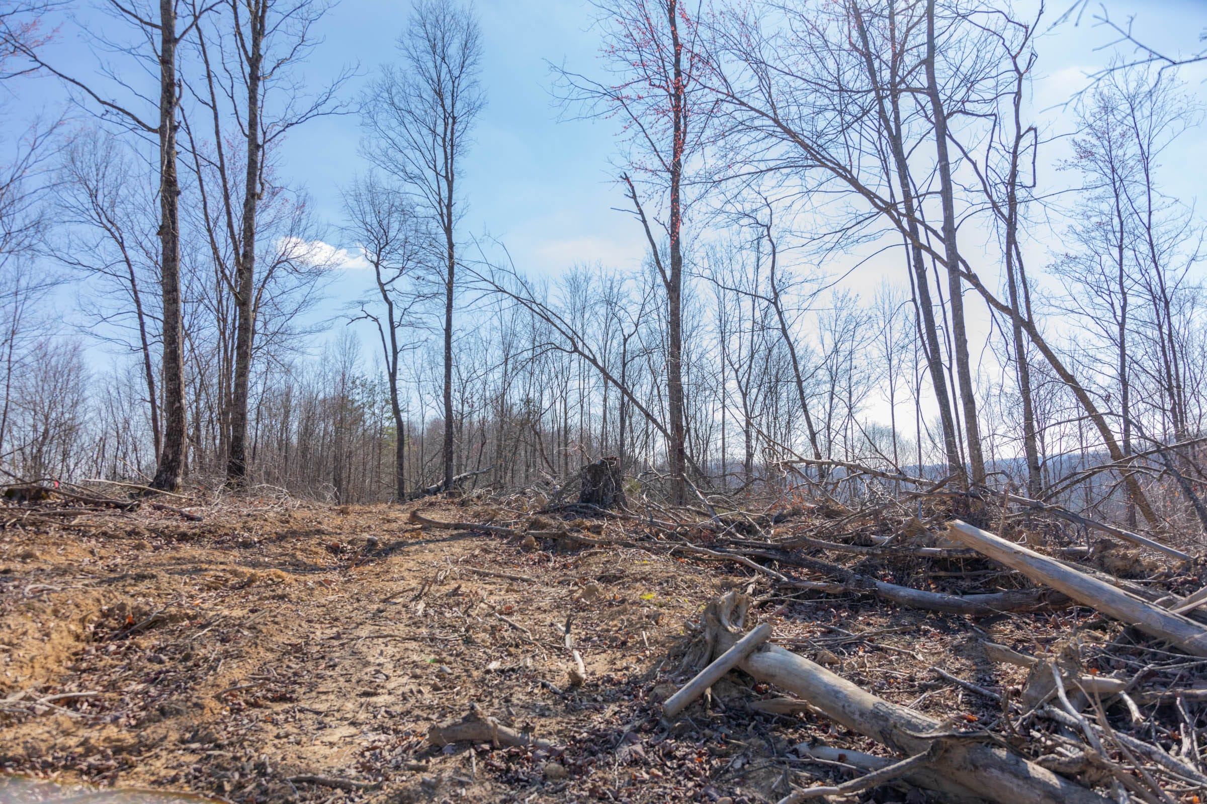 Creek Hollow Phase I Tract 10 photo 7