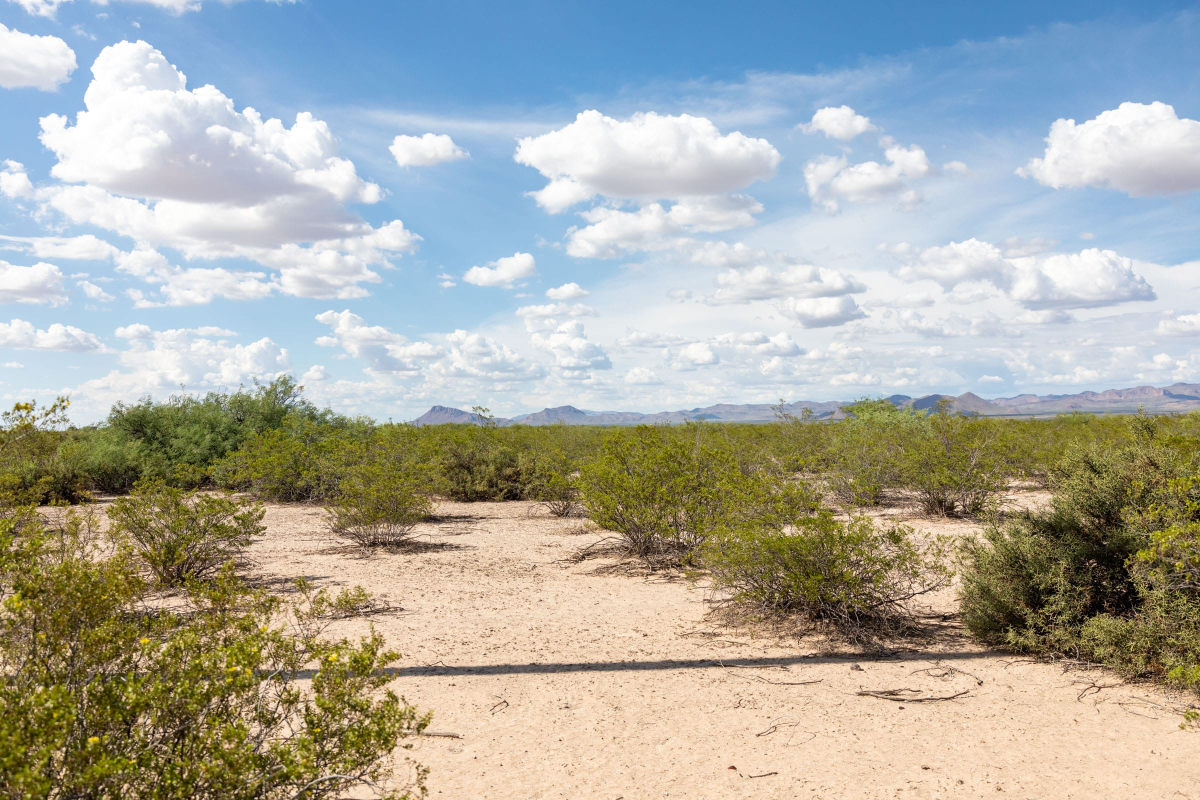 Horizon’s Edge Tract 5 photo 2