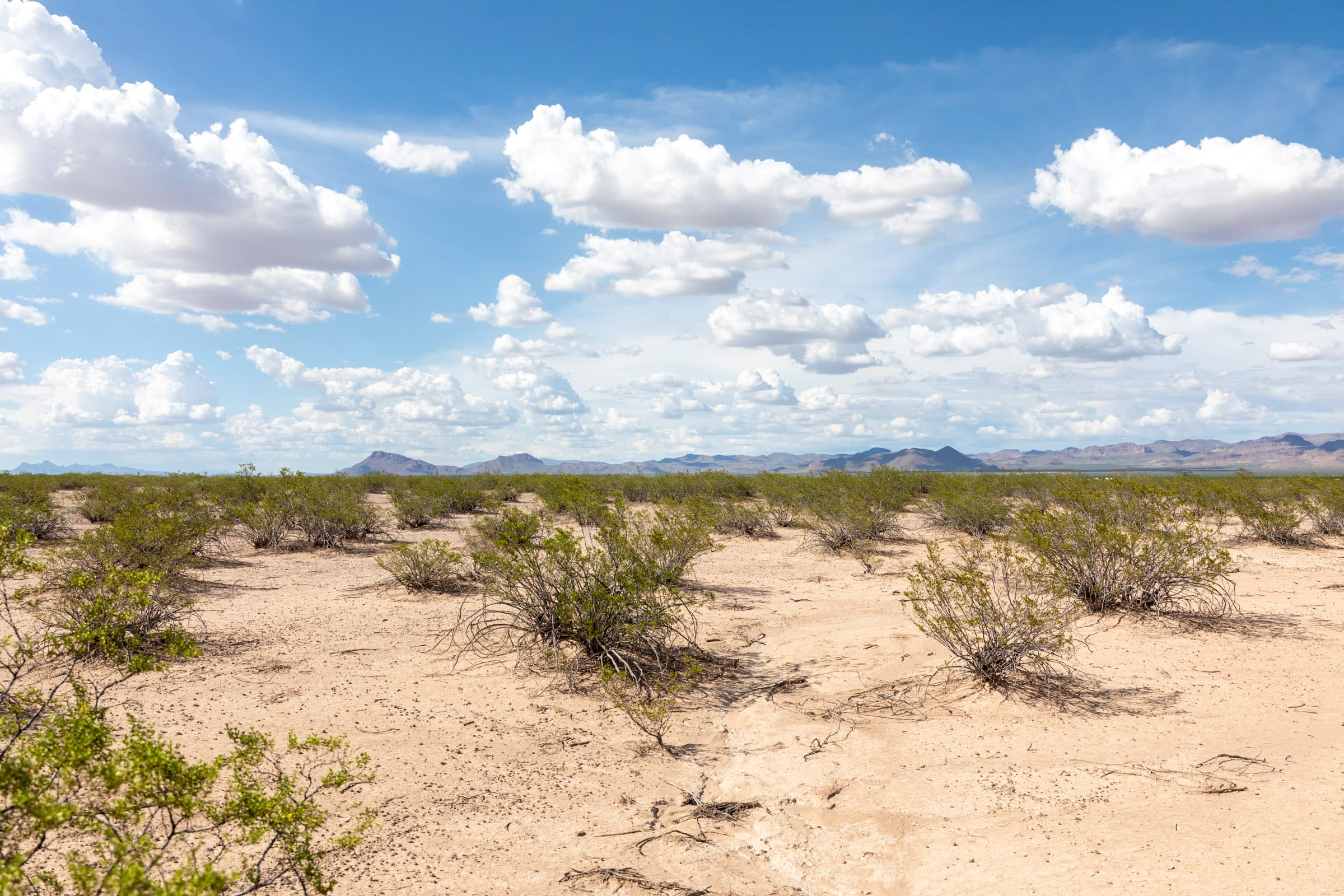 Horizon’s Edge Tract 5 photo 3
