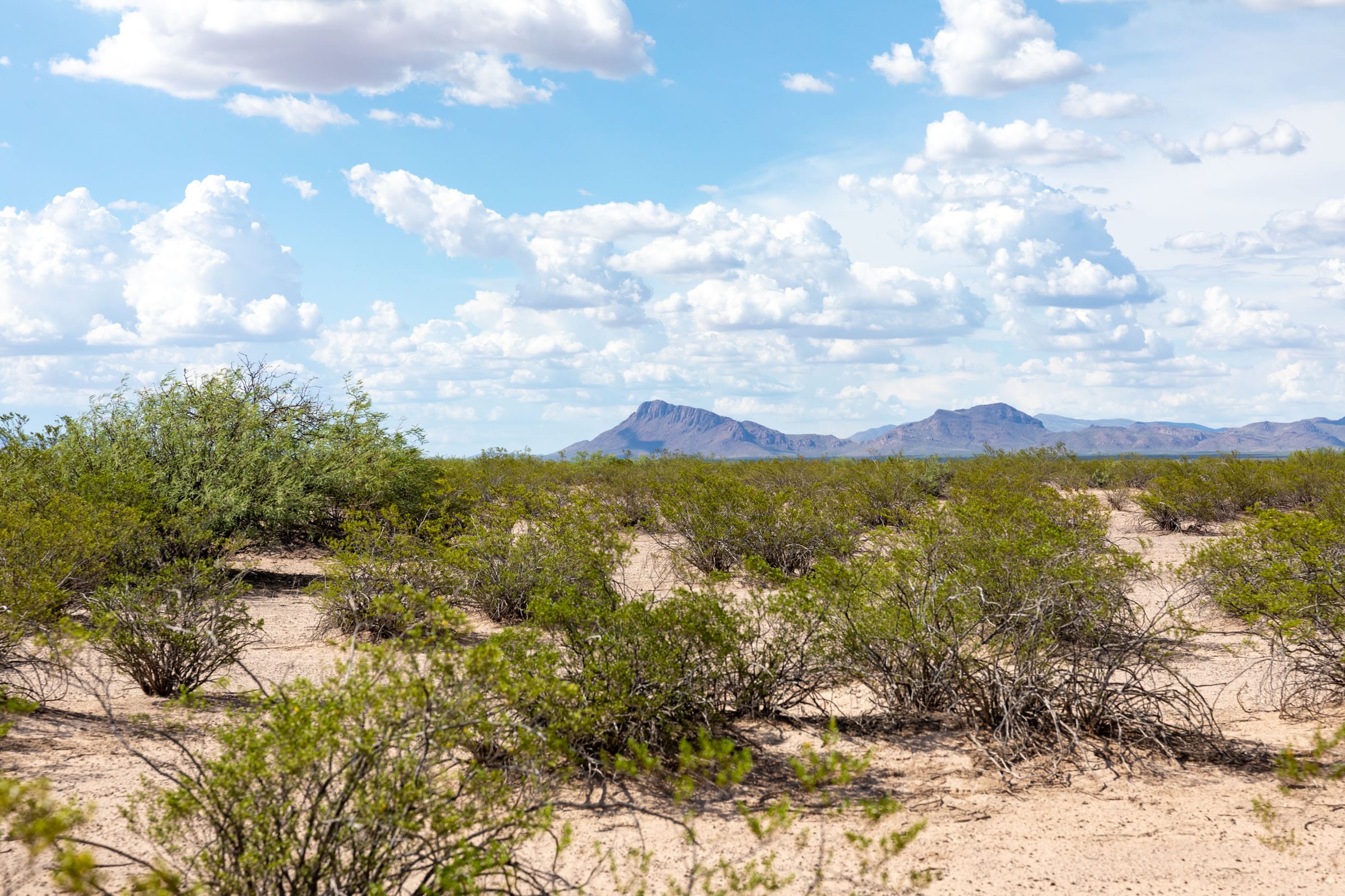 Horizon’s Edge Tract 5 photo 4