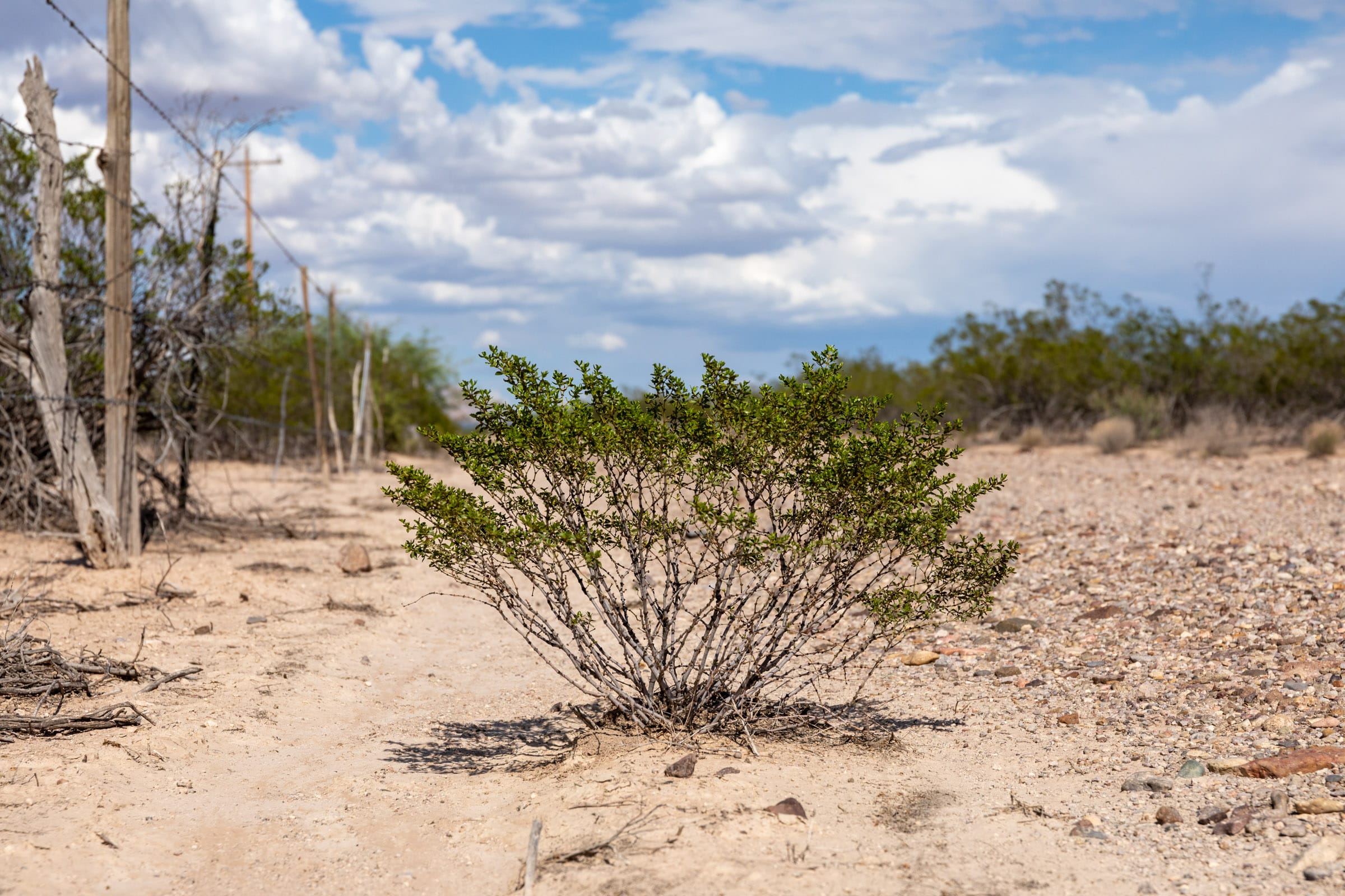 Horizon’s Edge Tract 5 photo 5