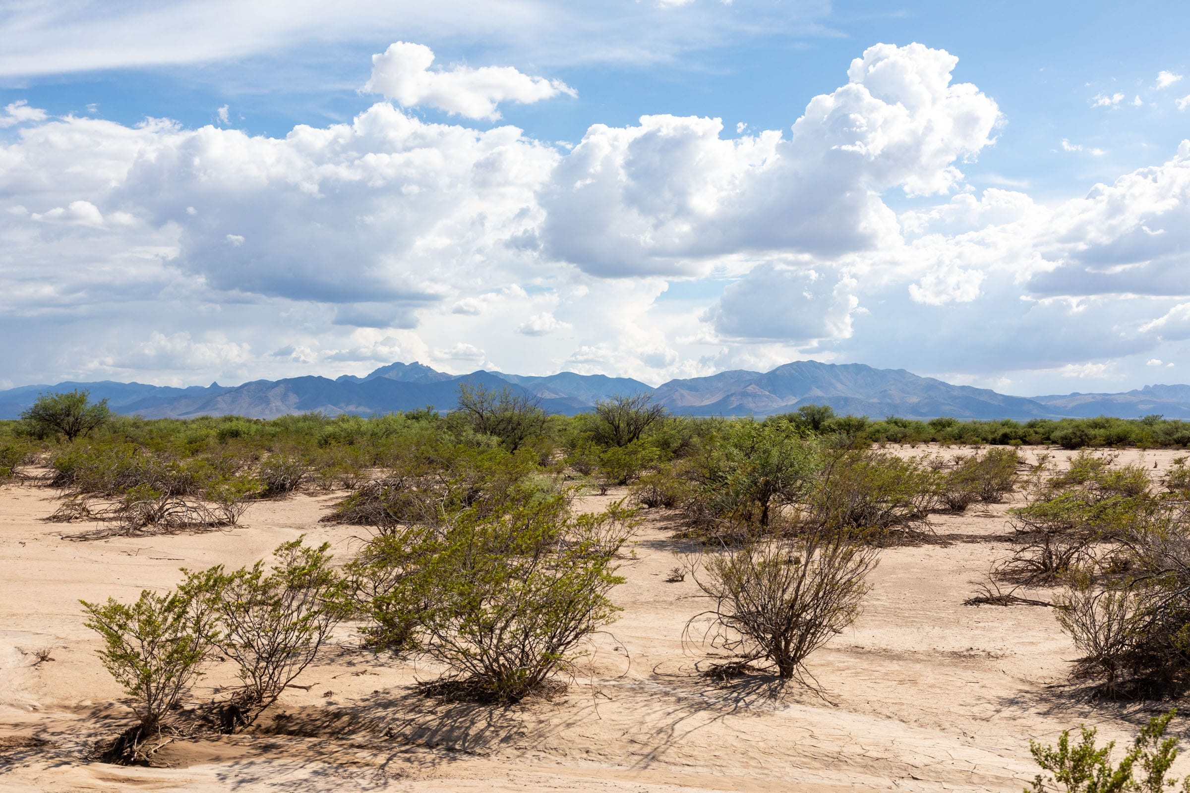 Horizon’s Edge Tract 5 photo 8