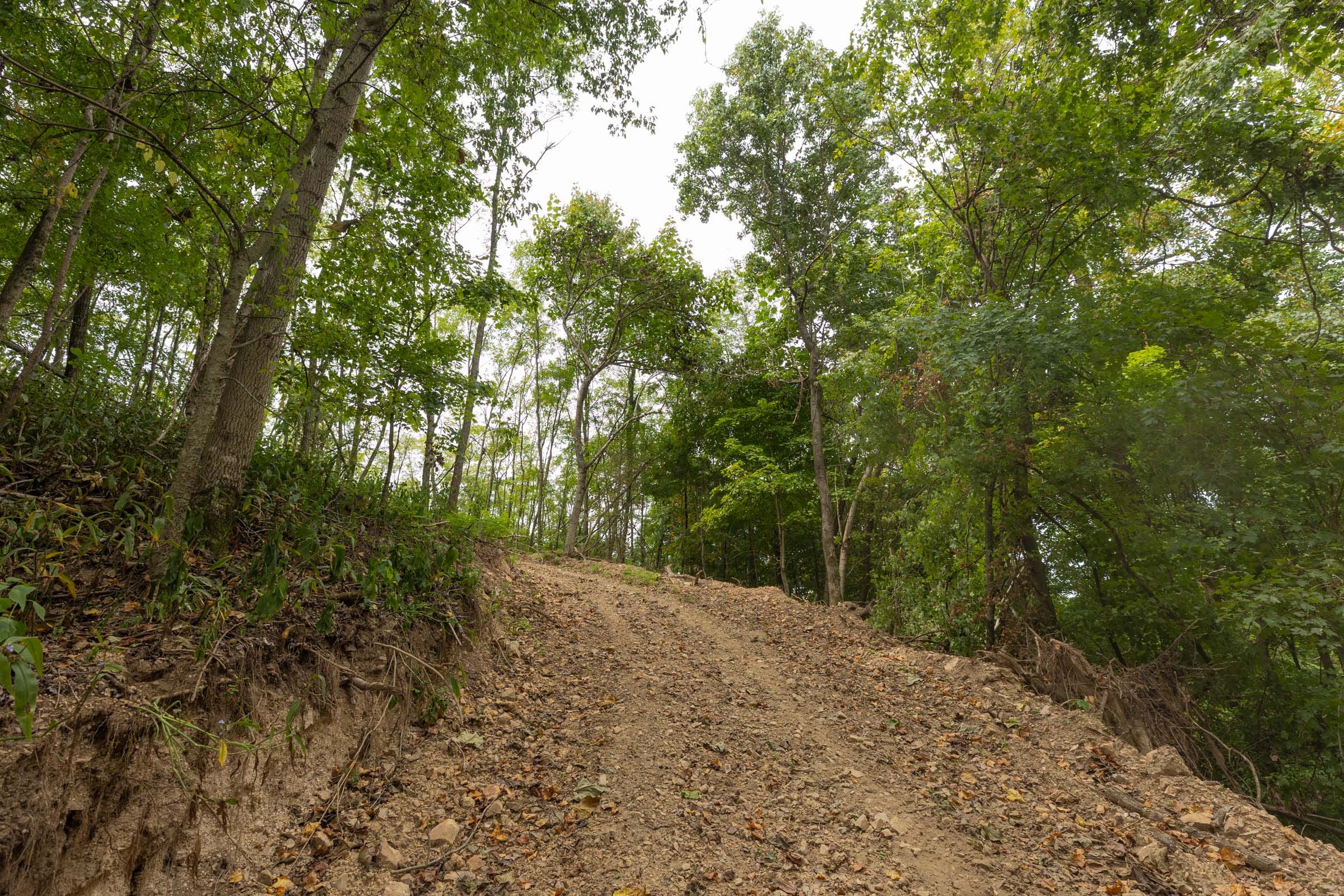 Big White Oak Tract 130 photo 10