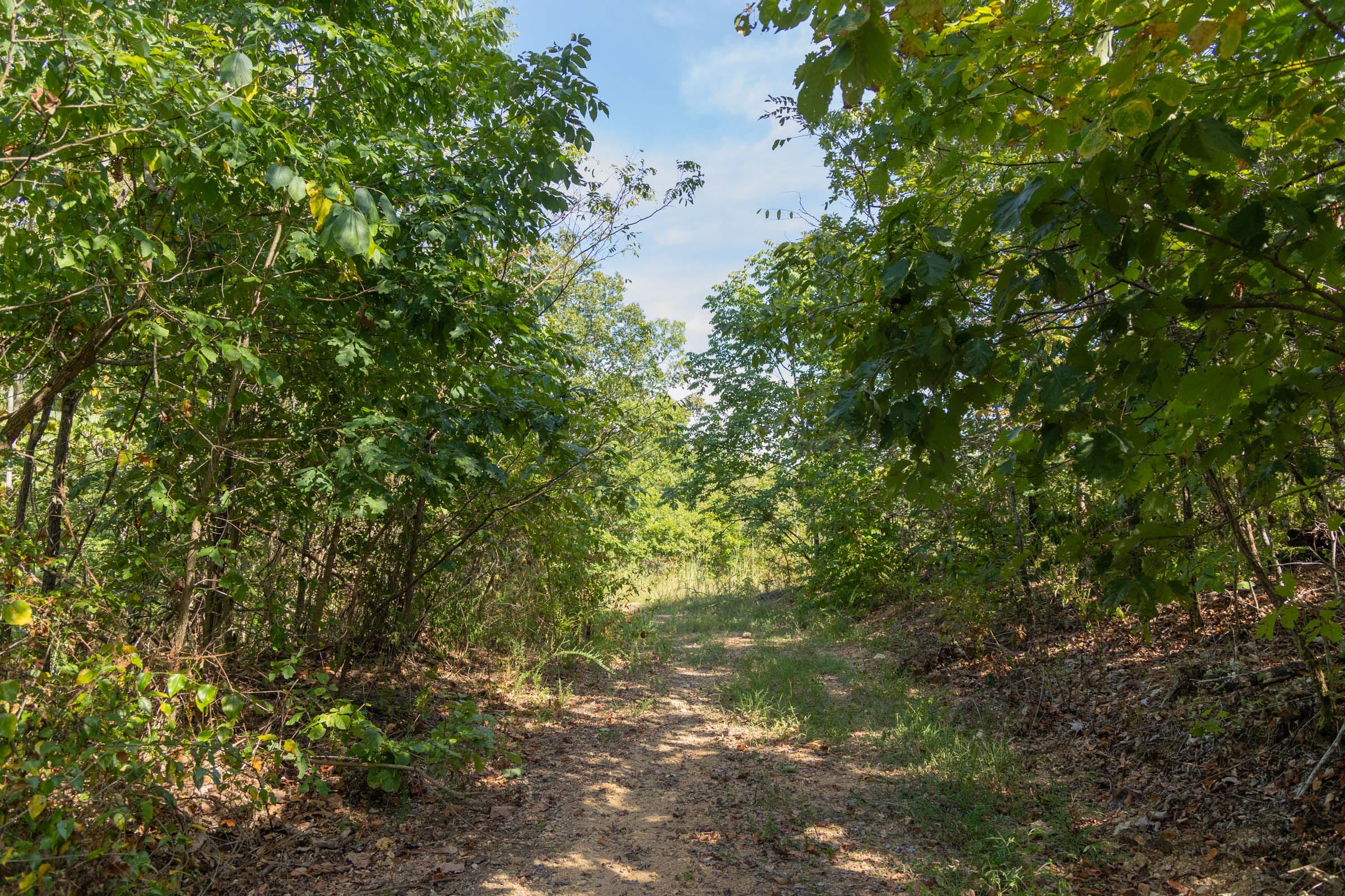 Big White Oak Tract 130 photo 9